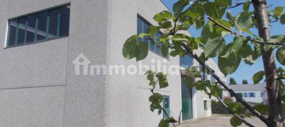 2-salle Entrepôt à Canonica d'Adda, Italy No. 309416 5