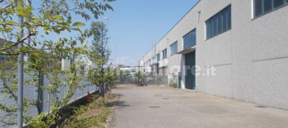 2-salle Entrepôt à Canonica d'Adda, Italy No. 309416 6