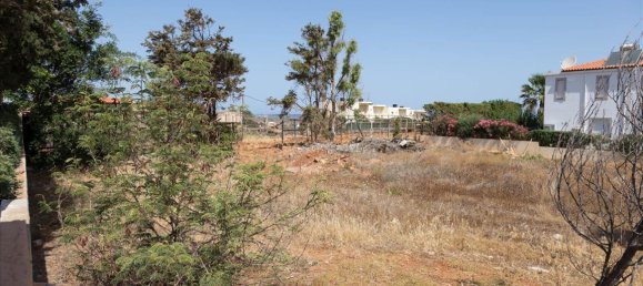 4000m² Hotel in Lasithi, Greece No. 4199 5