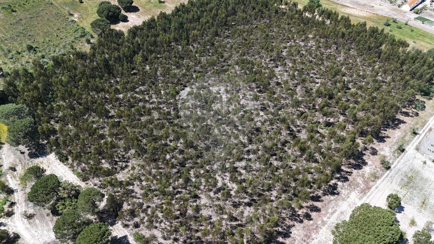 Grundstück in Canha, Portugal, Nr. 196689