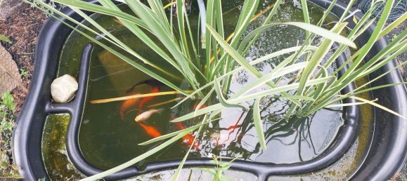 Casa de 5 divisões em Stade, Germany N.º 355459 38