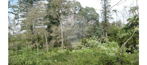 7 bedrooms House in Ponta Delgada, Portugal No. 37040 39