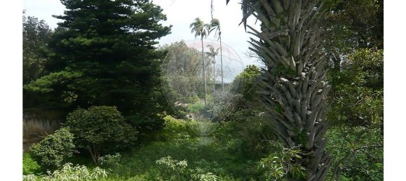 7 bedrooms House in Ponta Delgada, Portugal No. 37040 36