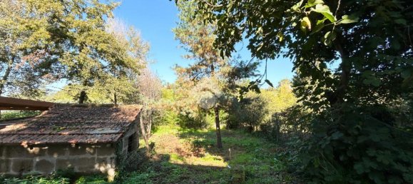 Apartamento de 4 habitaciónes en Vetralla, Italy No. 70494 13