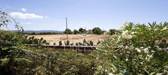 5 chambres Villa à Tarquinia, Italy No. 277301 41