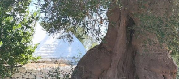 4 Schlafzimmer Haus in Ceglie Messapica, Italy, Nr. 339853 5