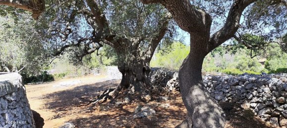 4 Schlafzimmer Haus in Ceglie Messapica, Italy, Nr. 339853 39