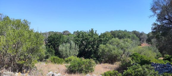 4 Schlafzimmer Haus in Ceglie Messapica, Italy, Nr. 339853 41