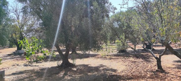 4 Schlafzimmer Haus in Ceglie Messapica, Italy, Nr. 339853 3