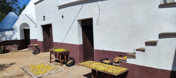 4 Schlafzimmer Haus in Ceglie Messapica, Italy, Nr. 339853 43