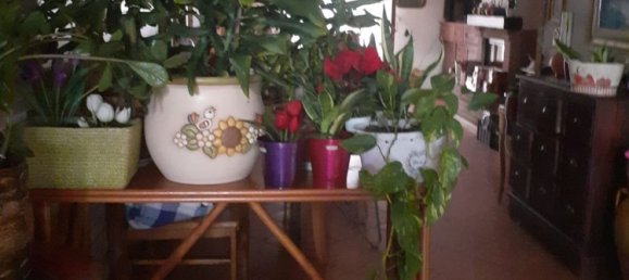 4-Zimmer Haus in Palagiano, Italy, Nr. 277504 4