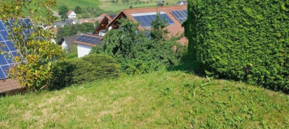 Adosado de 9 habitaciónes en Ortenaukreis, Germany No. 287293 5