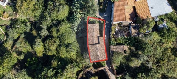 Casa de 1 dormitorio en Miranda do Corvo, Portugal No. 178122 14