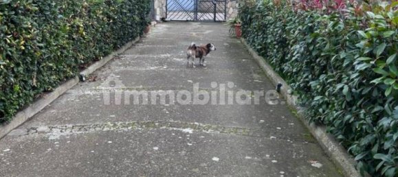 5 غرف نوم فيلا في Tuscania, Italy رقم 292084 35