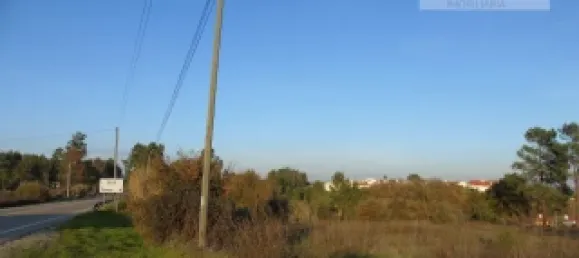 Grundstück in Asseiceira, Portugal, Nr. 68329 2