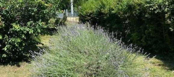 7غرفة فيلا في Mercato Saraceno, Italy رقم 170941 7