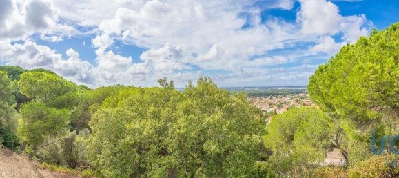 14 bedrooms House in Palmela, Portugal No. 136415 2