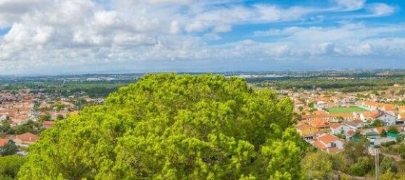 14 bedrooms House in Palmela, Portugal No. 136415 23