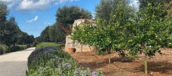 7 rooms Villa in Carovigno, Italy No. 282453 16