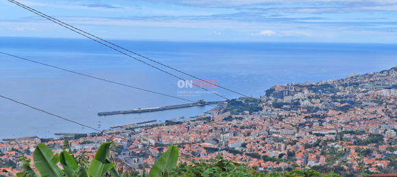 Grundstück in Funchal, Portugal, Nr. 92273 14