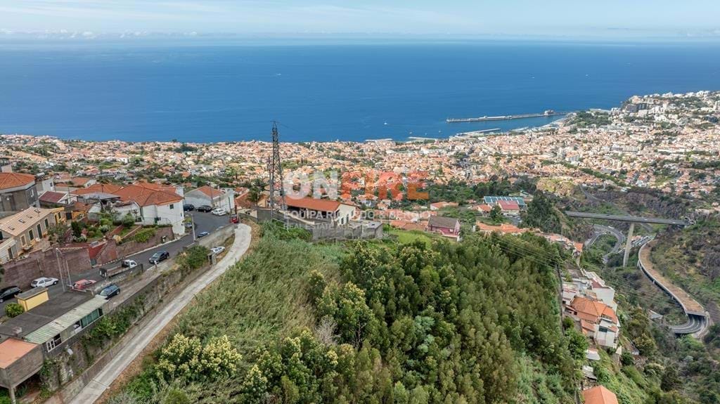 Grundstück in Funchal, Portugal, Nr. 92273