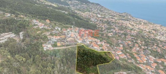 Grundstück in Funchal, Portugal, Nr. 92273 2