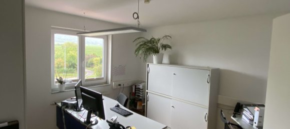 2 Schlafzimmer Wohnung in Rheinland-Pfalz, Germany, Nr. 266813 16