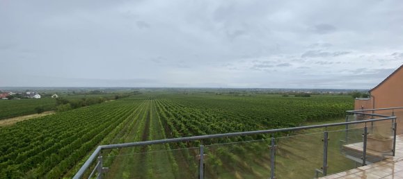 2 Schlafzimmer Wohnung in Rheinland-Pfalz, Germany, Nr. 266813 19