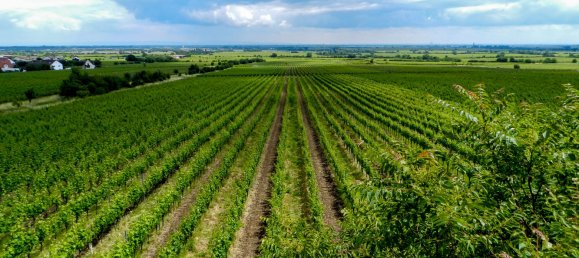 2 Schlafzimmer Wohnung in Rheinland-Pfalz, Germany, Nr. 266813 23