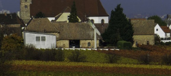 2 Schlafzimmer Wohnung in Rheinland-Pfalz, Germany, Nr. 266813 4