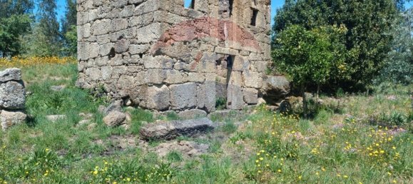 1 Schlafzimmer Haus in Tabua, Portugal, Nr. 152189 3