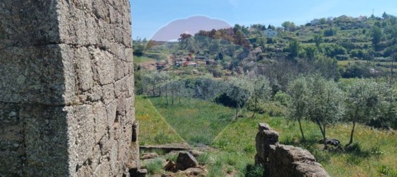 1 Schlafzimmer Haus in Tabua, Portugal, Nr. 152189 4