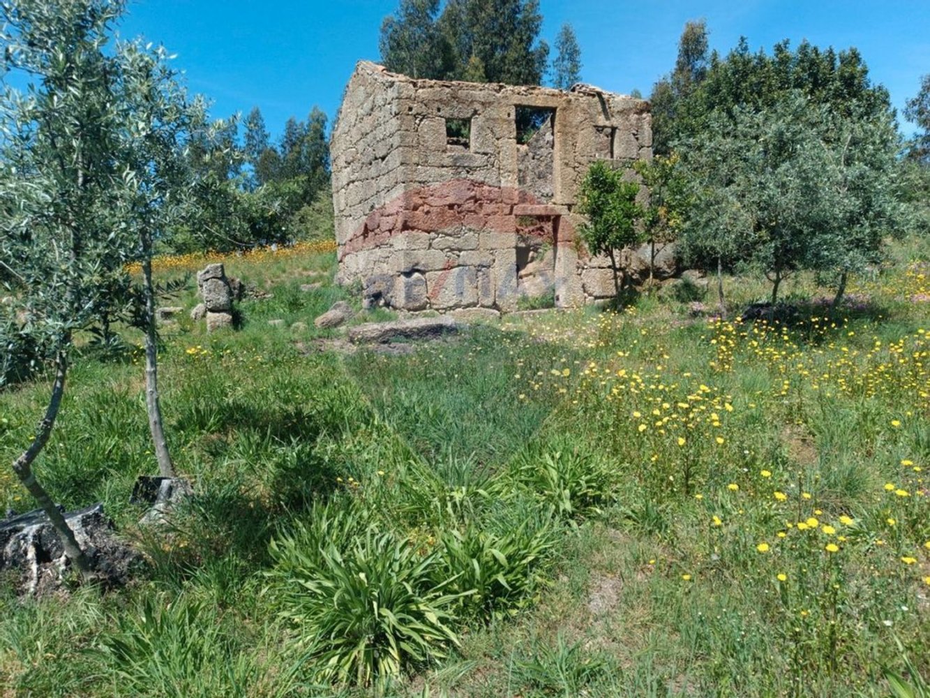 1 Schlafzimmer Haus in Tabua, Portugal, Nr. 152189