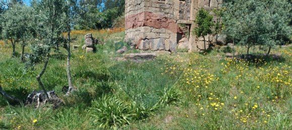 1 Schlafzimmer Haus in Tabua, Portugal, Nr. 152189 5