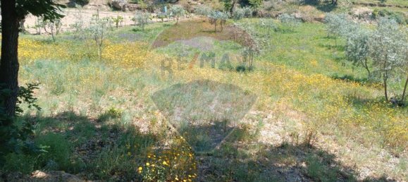 1 Schlafzimmer Haus in Tabua, Portugal, Nr. 152189 16