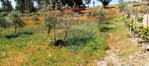 1 Schlafzimmer Haus in Tabua, Portugal, Nr. 152189 12