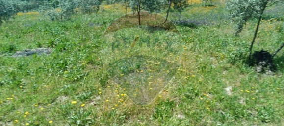 1 Schlafzimmer Haus in Tabua, Portugal, Nr. 152189 14