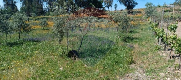 1 Schlafzimmer Haus in Tabua, Portugal, Nr. 152189 13