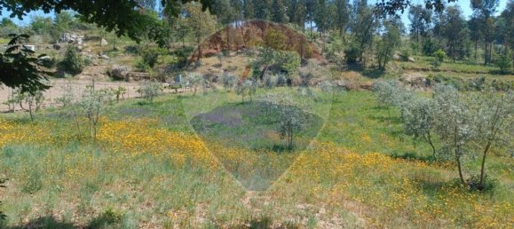 1 Schlafzimmer Haus in Tabua, Portugal, Nr. 152189 15