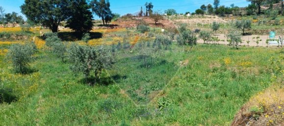 1 Schlafzimmer Haus in Tabua, Portugal, Nr. 152189 9