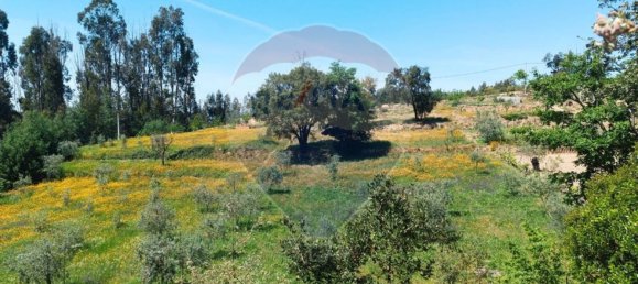 1 Schlafzimmer Haus in Tabua, Portugal, Nr. 152189 8