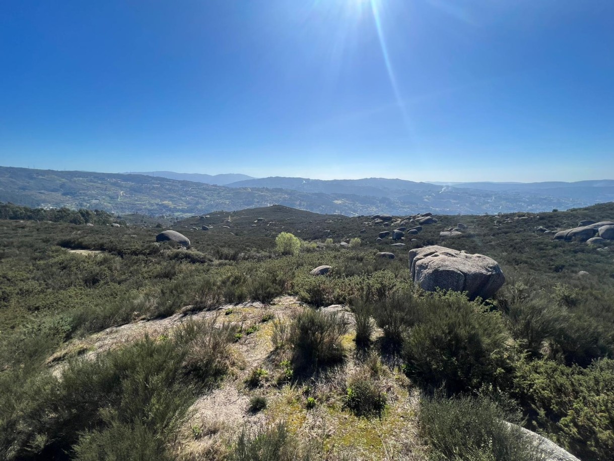  Land in Marco de Canaveses, Portugal No. 56142