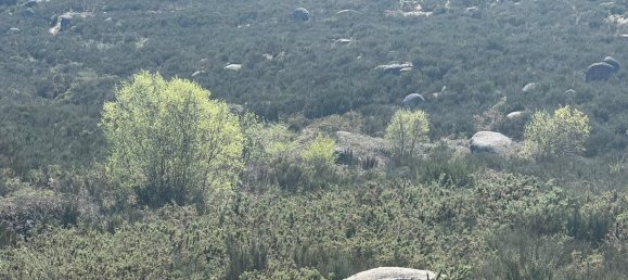 Land in Marco de Canaveses, Portugal No. 56142 18