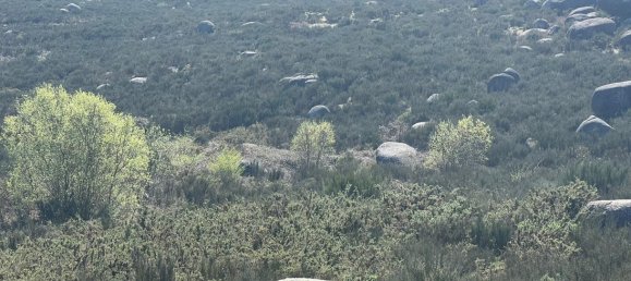 Land in Marco de Canaveses, Portugal No. 56142 16