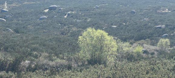 Land in Marco de Canaveses, Portugal No. 56142 10