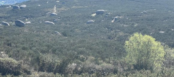 Land in Marco de Canaveses, Portugal No. 56142 15