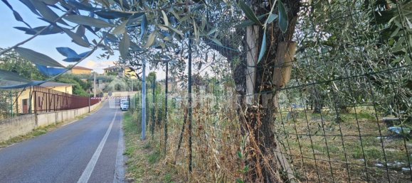 Terrain à Reggello, Italy 1510m² No. 284609 4