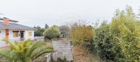 2 غرف نوم منزل في Oliveira do Bairro, Portugal رقم 18182 5