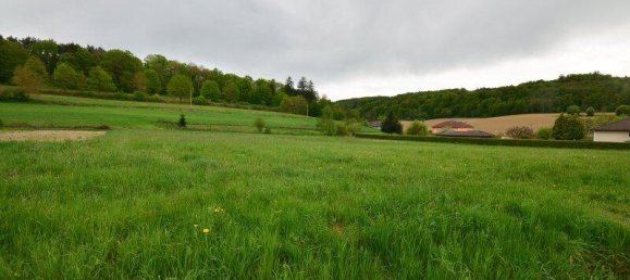 1939m² Land in Neustift bei Gussing, Austria No. 236257 3