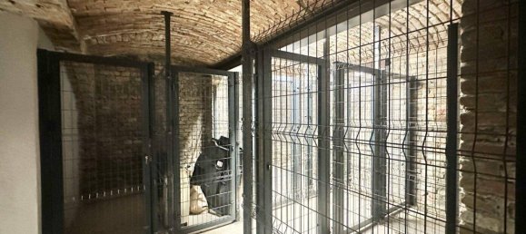 Квартира с 2 комнатами в Пенцинг, Австрия № 249446 23